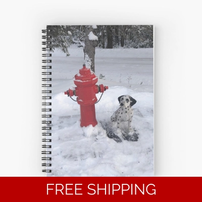 Le Studio Spiral Notebook Rush Signals Monument winter 2019